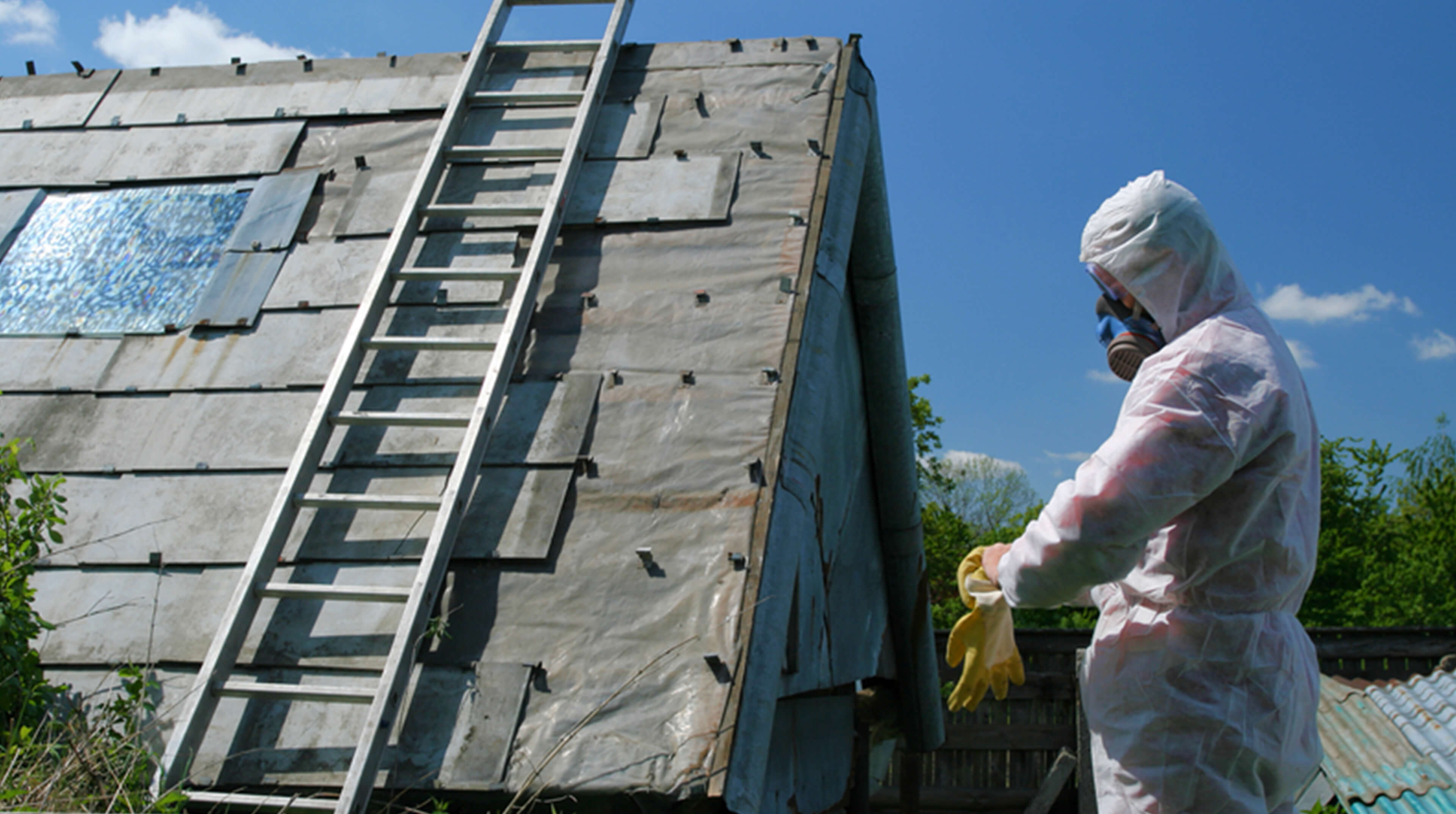 asbestos newcastle inspection